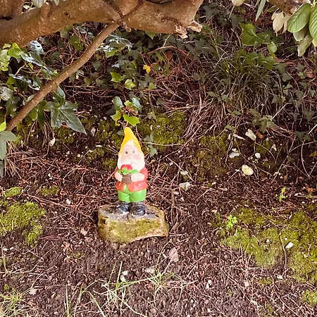 La Herradura 3* Liermo