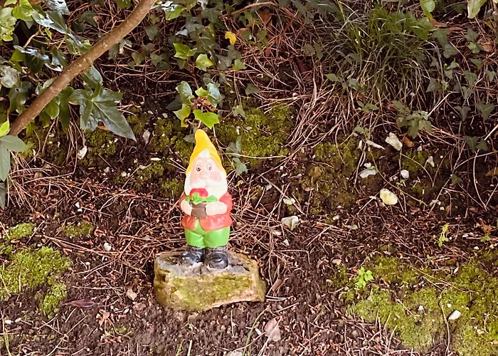 La Herradura 3* Liermo